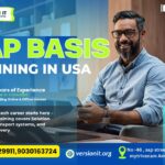 SAP BASIS Training In USA