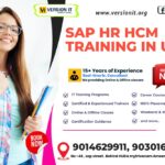 SAP HR HCM Training in  USA