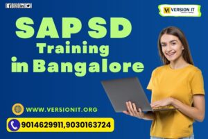 Read more about the article Top Reasons Why You Should Learn SAP SD in 2025